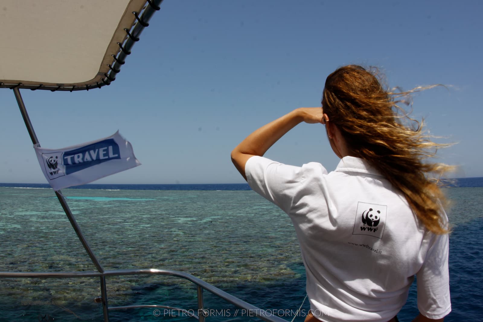Focus ECO Viaggio